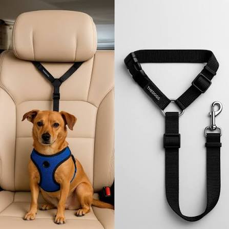 Correa Leash Para Mascotas Pro Outdoor
