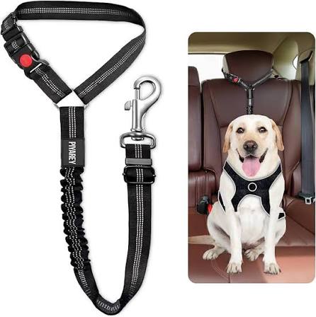 Correa Leash Para Mascotas Pro Outdoor